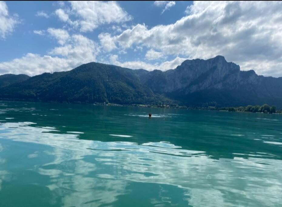 Die Feelgood-Wohnung Am Mondsee Esterno foto